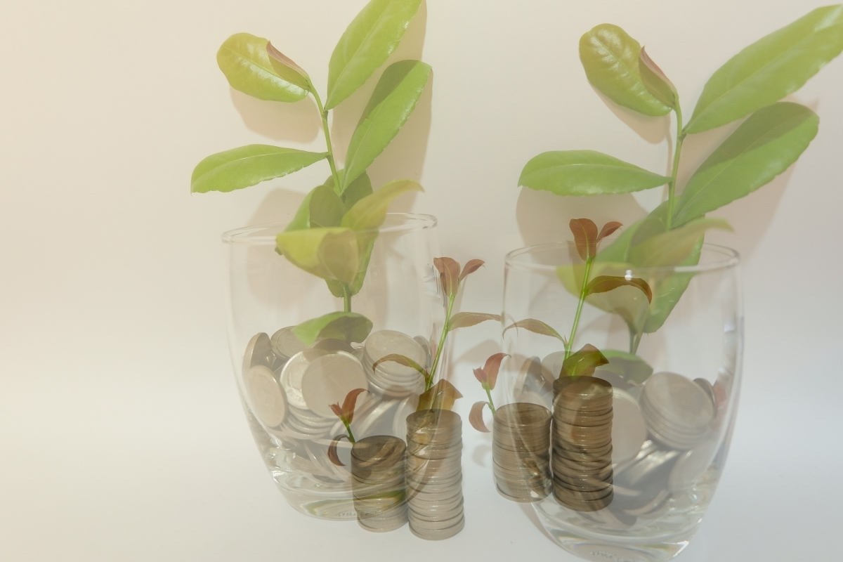 Optimized-shutterstock_1128552869