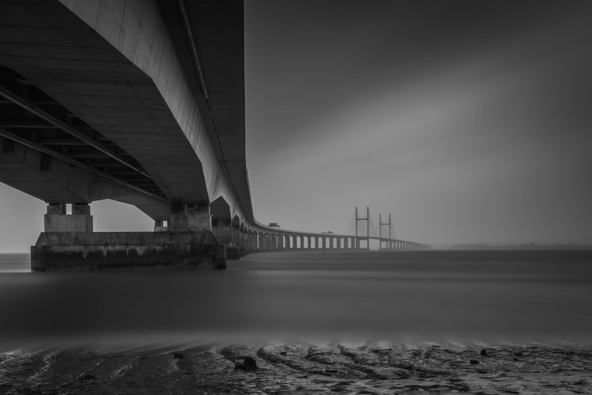 Optimized-shutterstock_1157674009