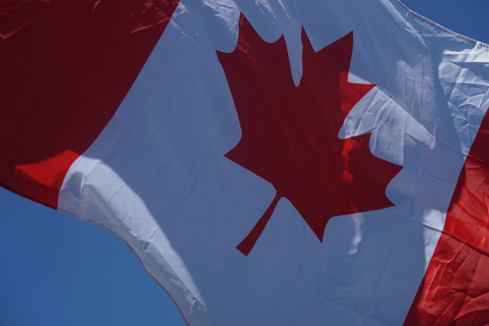 Optimized-shutterstock_1220351827