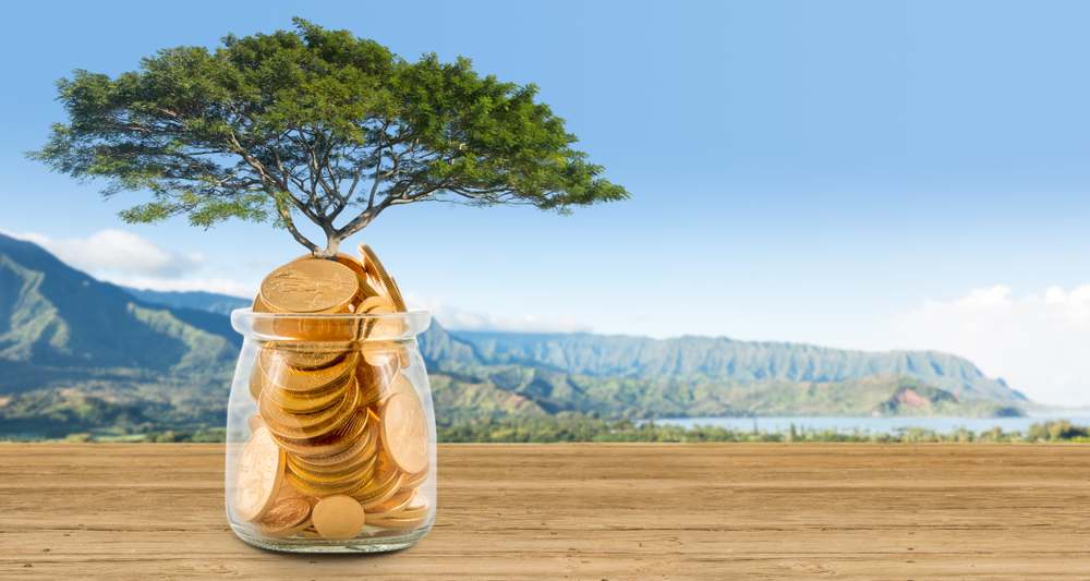 shutterstock_1015247089