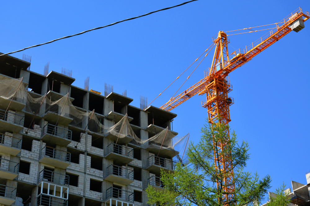 shutterstock_1016715997