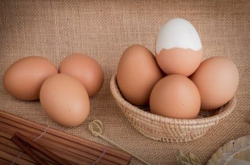 shutterstock_1017368362