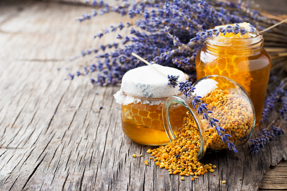 shutterstock_1045892128