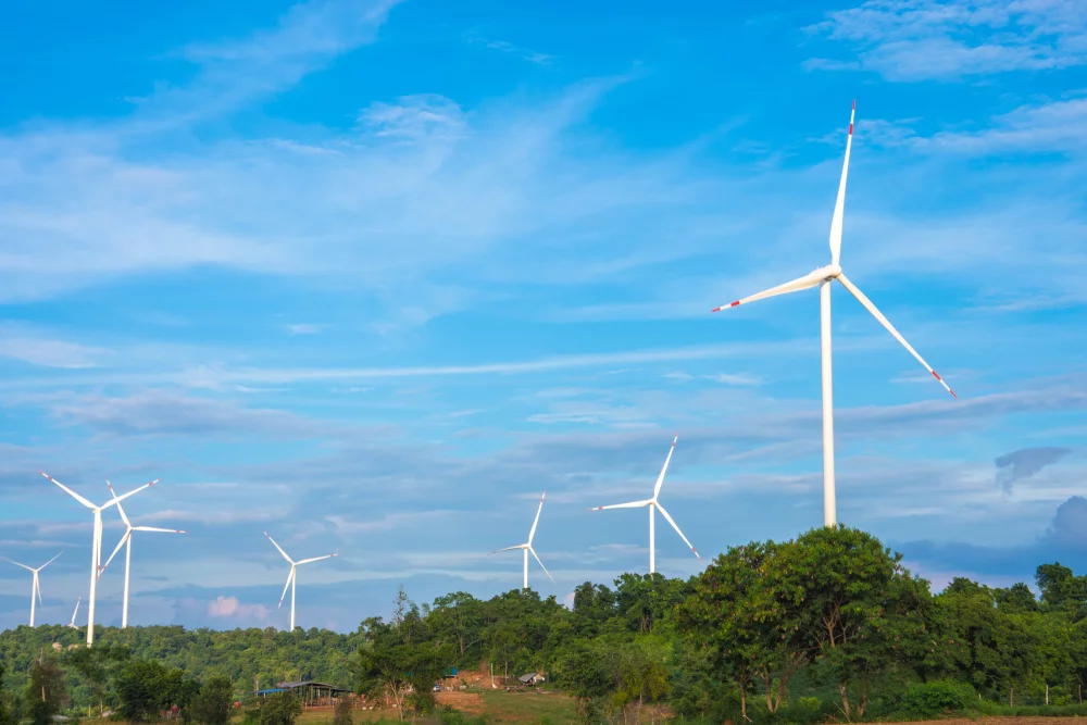 shutterstock_1056870683