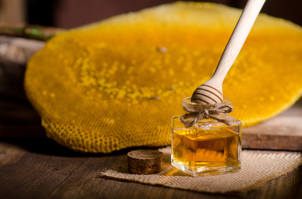 shutterstock_1072808183