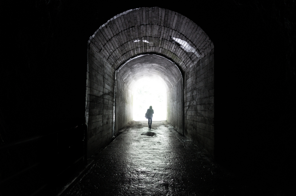 shutterstock_1077089546