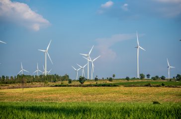 shutterstock_1101432554