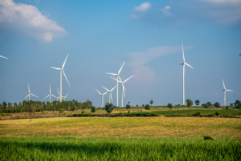 shutterstock_1101432554