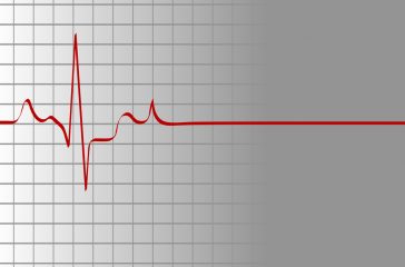 shutterstock_11135893