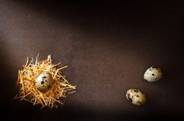 shutterstock_1116397967