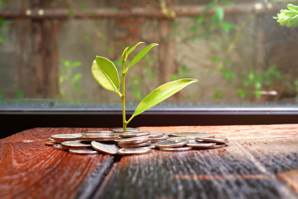 shutterstock_1126898558