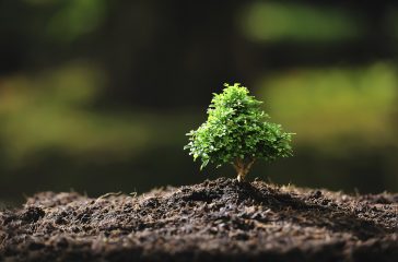 shutterstock_112940623