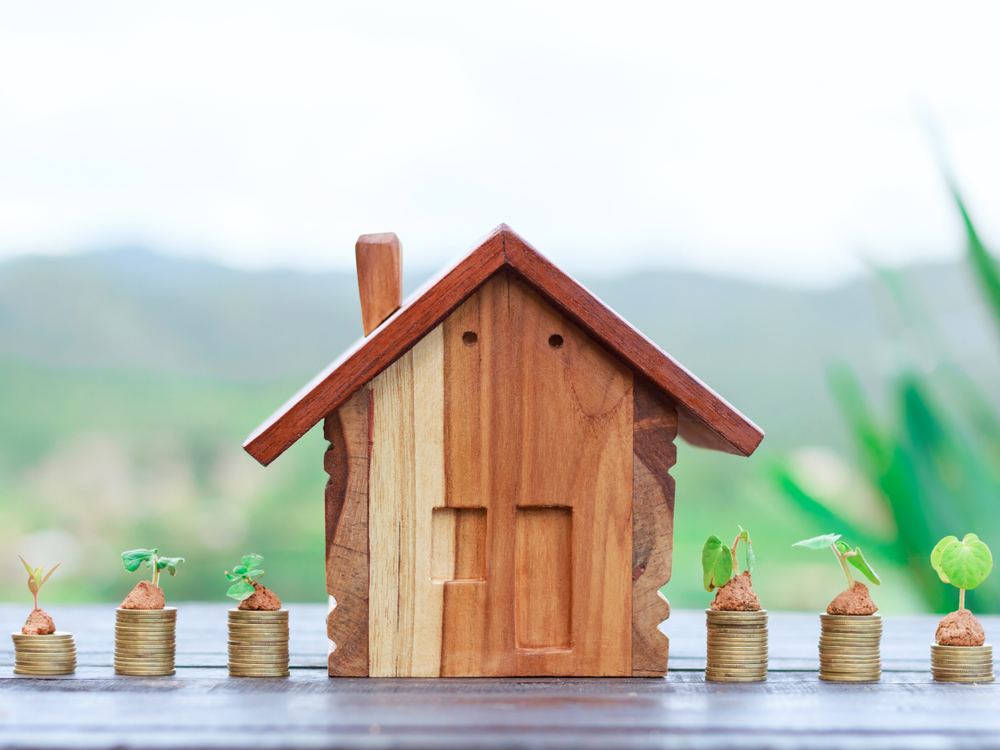 shutterstock_1131416882