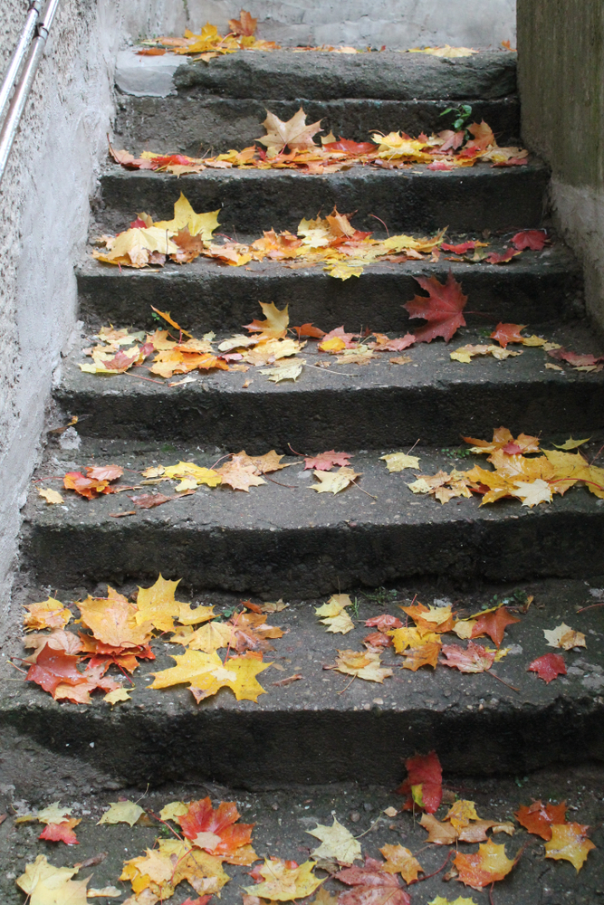 shutterstock_1154111914