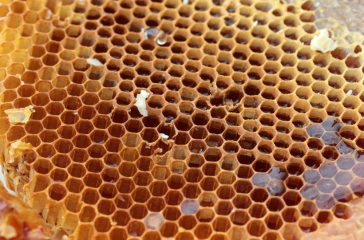 shutterstock_1170573043