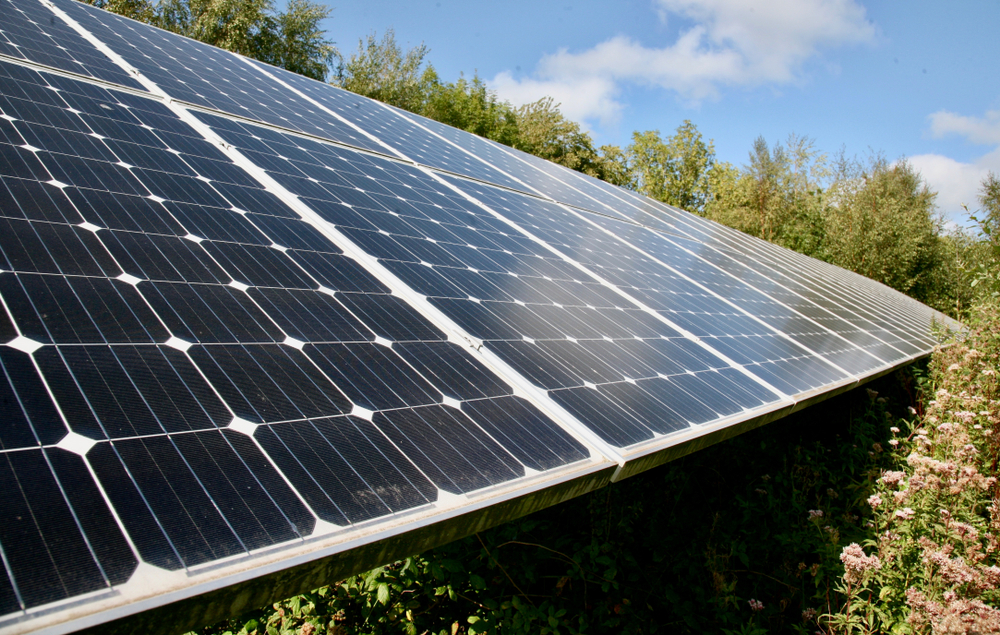 shutterstock_1171051282