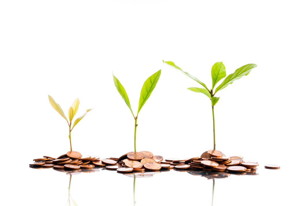 shutterstock_1385791493