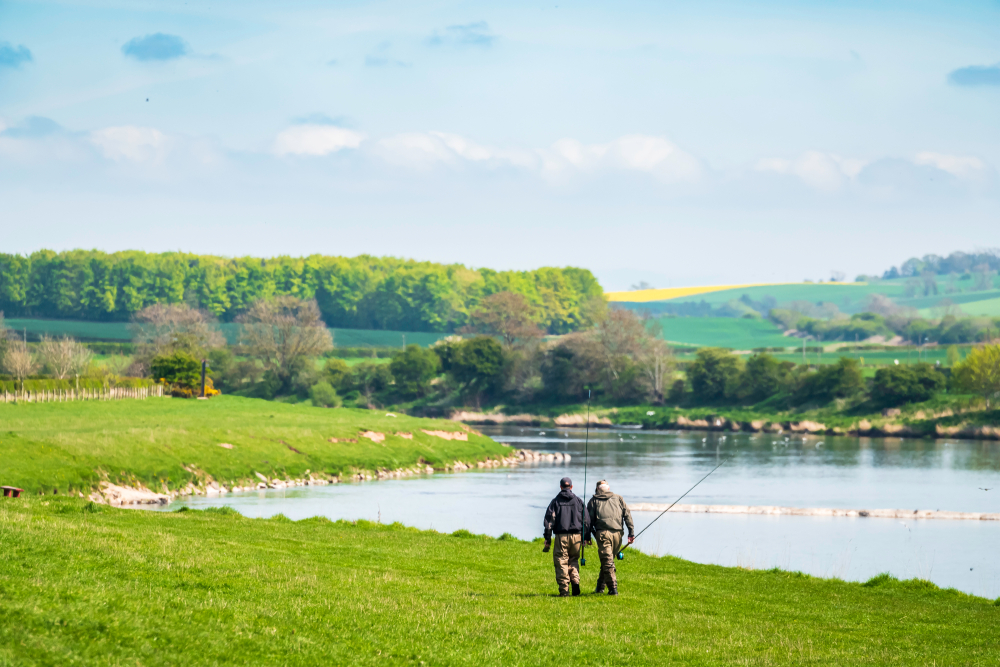 shutterstock_1390145789