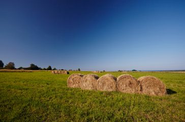 shutterstock_1417153964