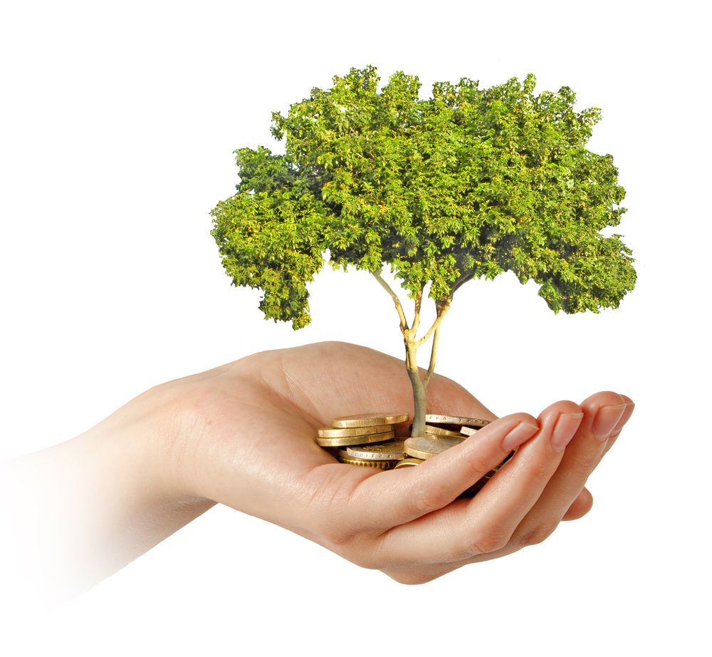 shutterstock_148163201