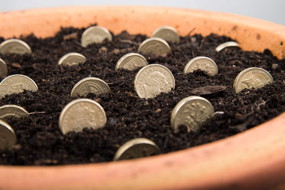 shutterstock_219111829