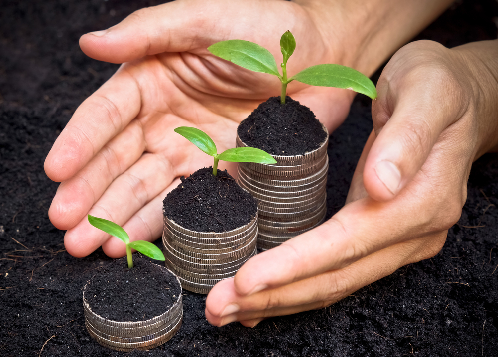 shutterstock_221425552