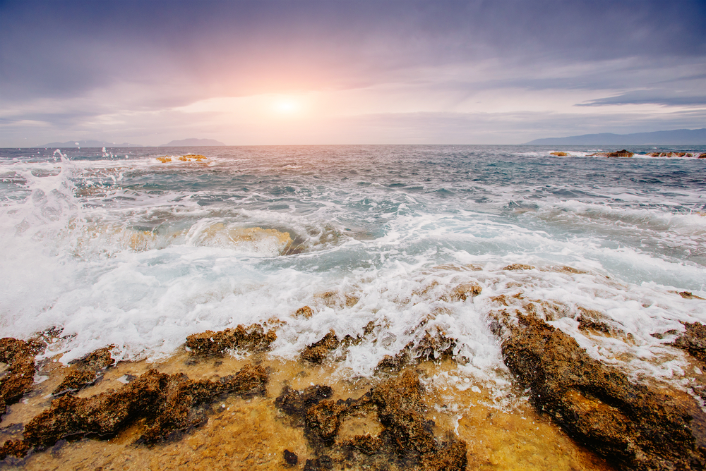 shutterstock_262604786