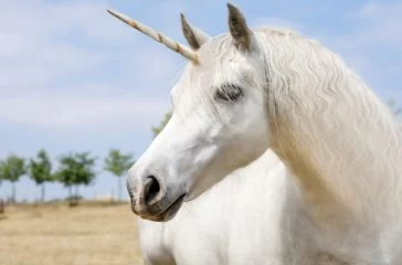 shutterstock_307341374