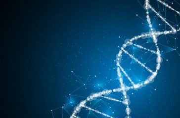 shutterstock_453684640