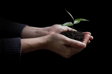 shutterstock_609469904