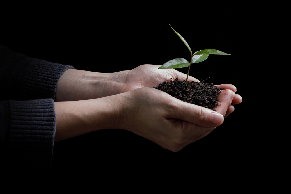 shutterstock_609469904