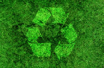 shutterstock_612070349