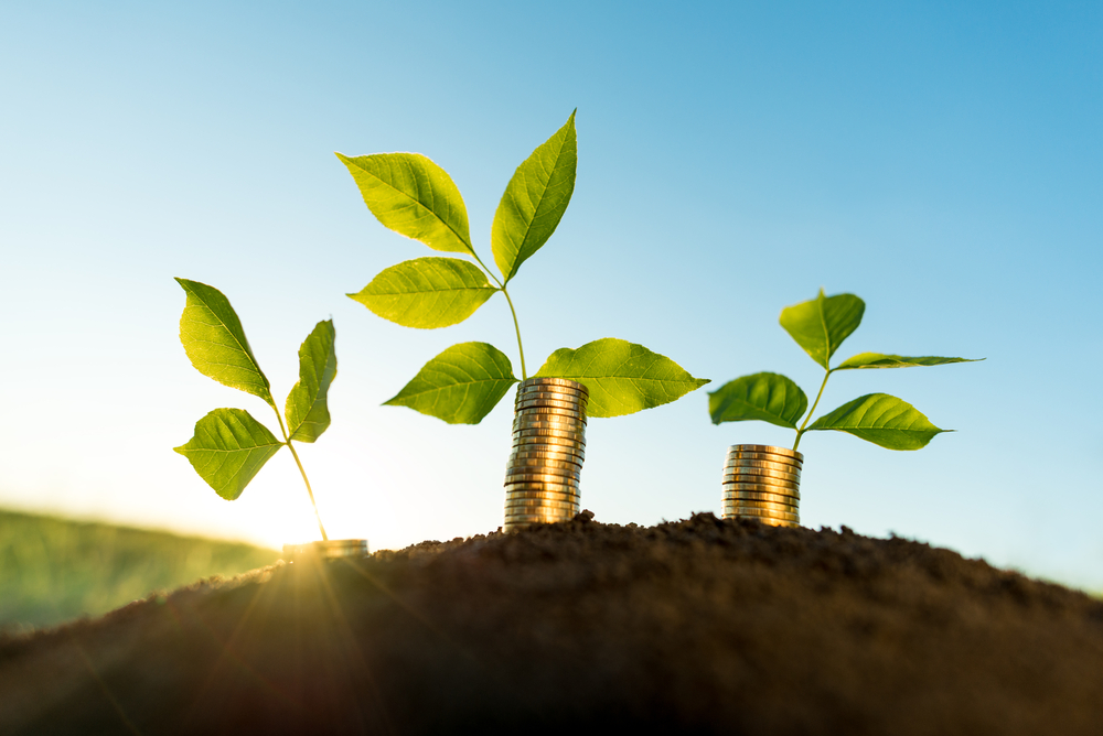 shutterstock_652572367