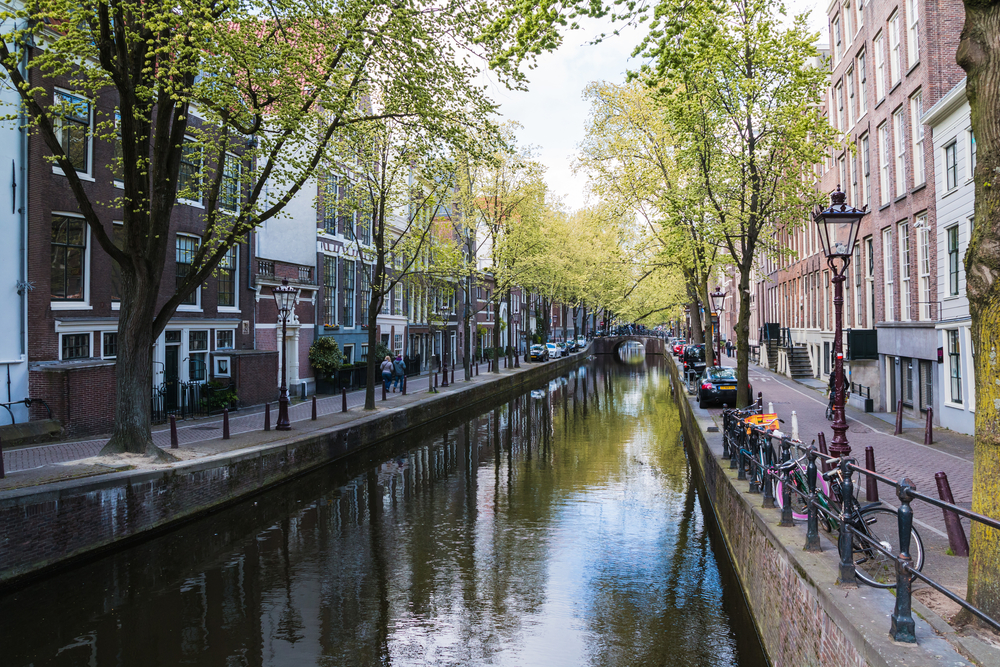 shutterstock_675219106