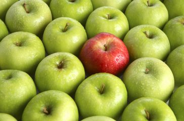 shutterstock_6966994