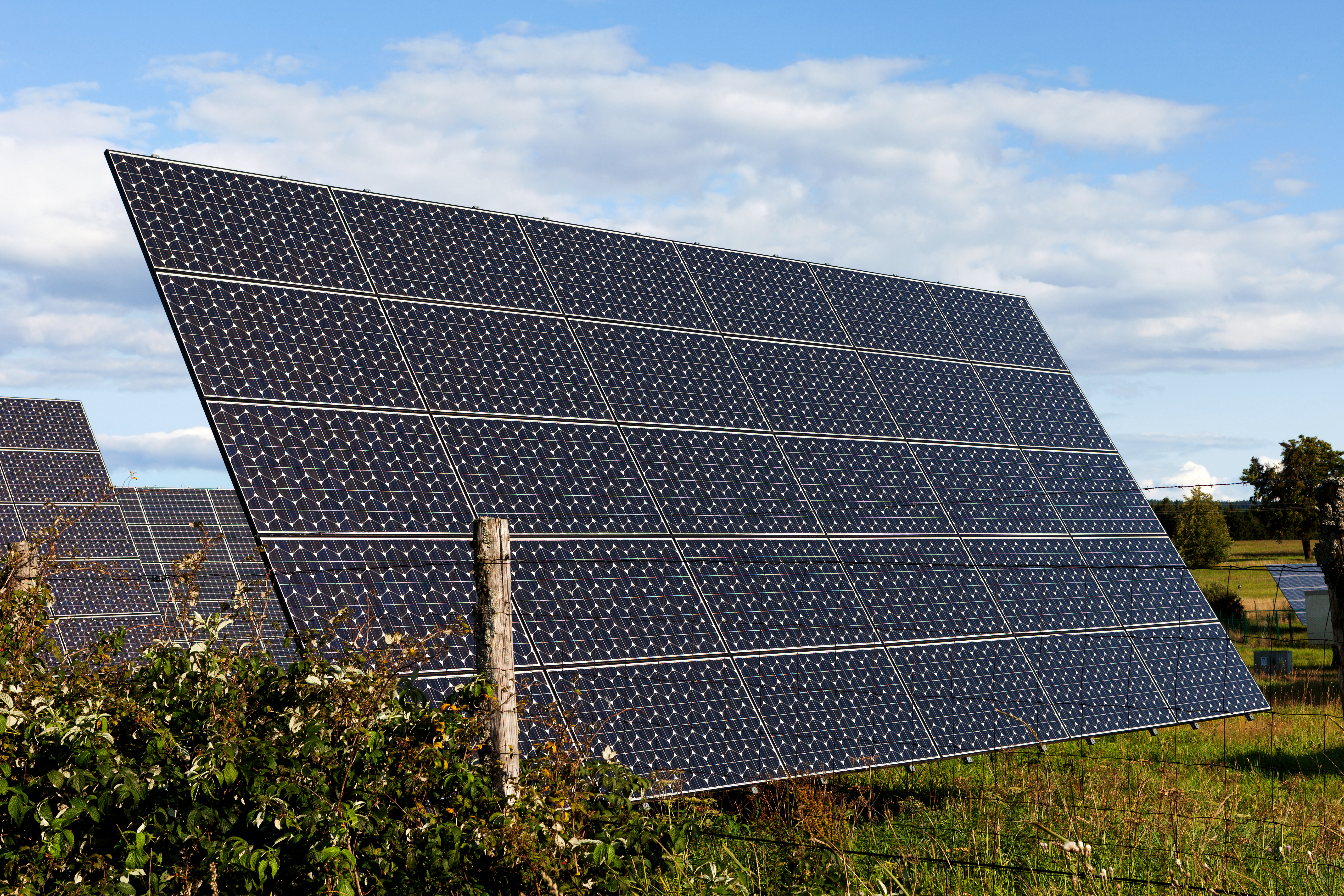 shutterstock_709115971