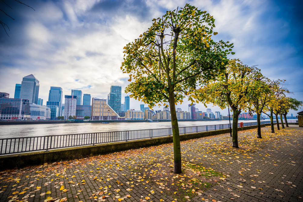 shutterstock_739531579