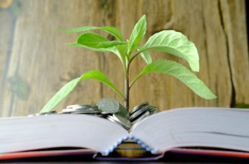 shutterstock_749917876