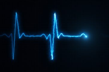 shutterstock_760660861