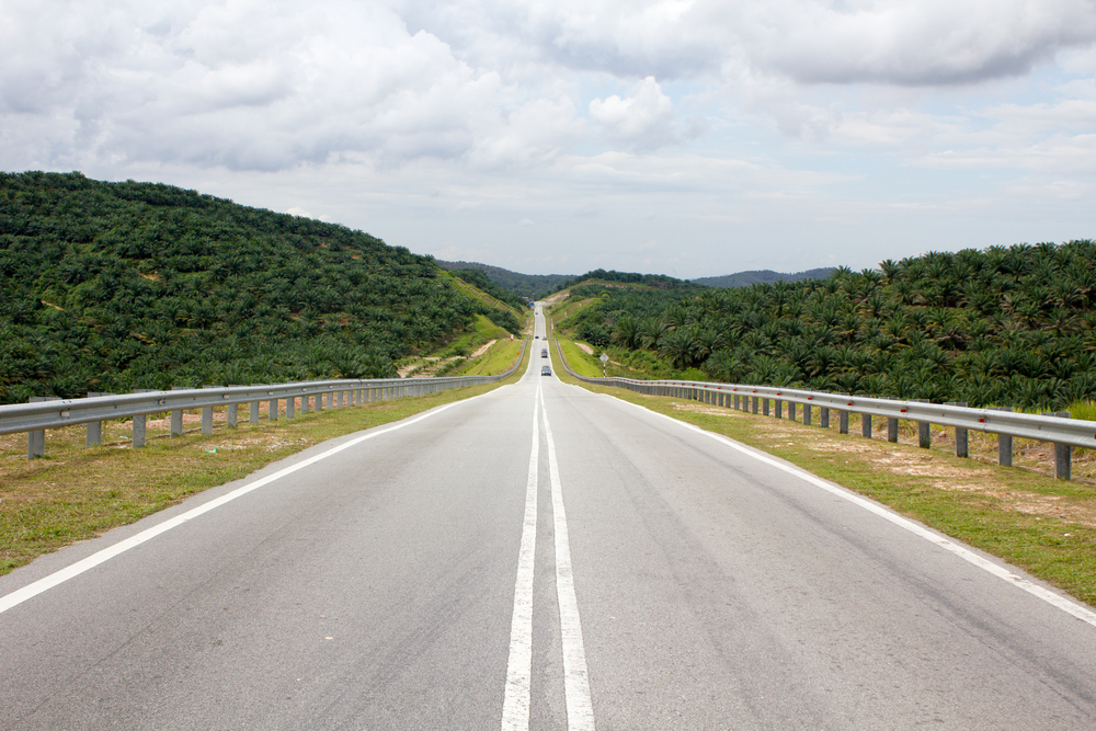 shutterstock_784244788