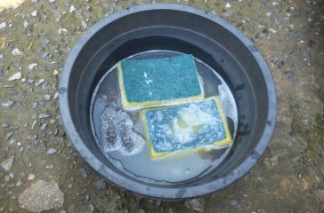 shutterstock_1571868808