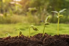 shutterstock_1546974854