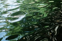 shutterstock_1582881160