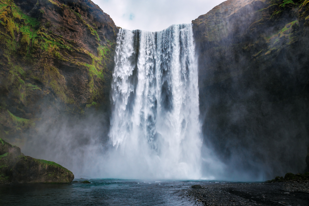 shutterstock_1490978012