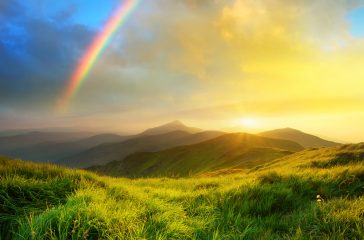 shutterstock_357520163