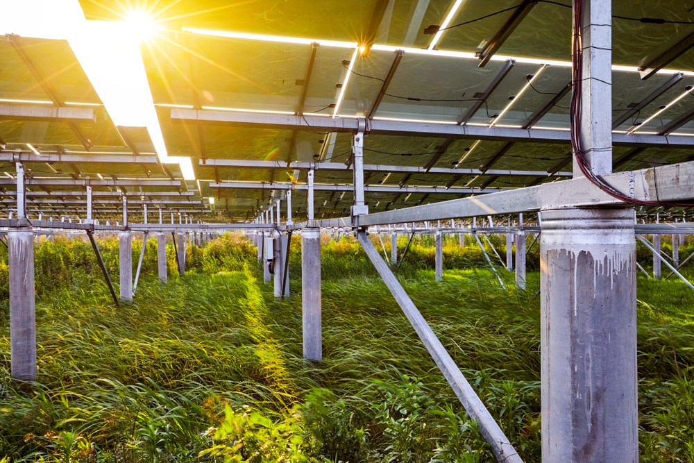 shutterstock_1435580774