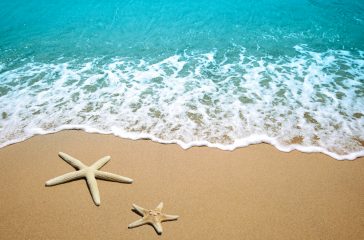 shutterstock_76744018