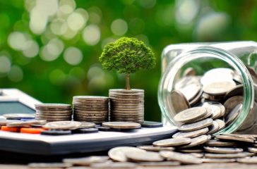 Plant trees on coins and calculators, financial accounting concepts and save money.