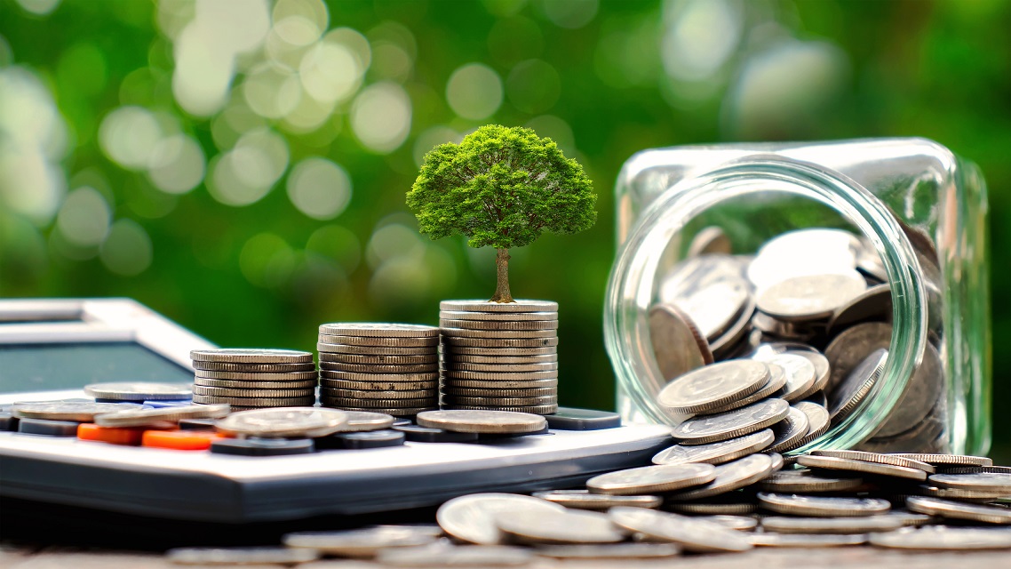 Plant trees on coins and calculators, financial accounting concepts and save money.