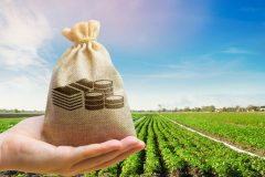 Money bag on the background of agricultural crops in the hand of the farmer. Agricultural startups. Profit from agribusiness. Lending and subsidizing farmers. Grants and support. Land value and rent.